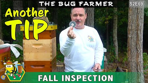 Fall Beehive Inspection - Inspecting the three hives with SHB infestation and feeding the week hives