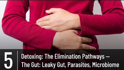 Episode 5 - Detoxing - The Elimination Pathways - The Gut