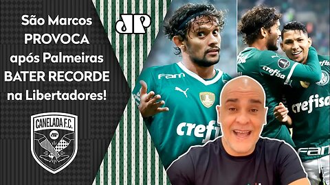 ELE É FO**! OLHA o que São Marcos FALOU do Palmeiras após RECORDE HISTÓRICO na Libertadores!