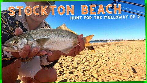 Hunt for the MULLOWAY | STOCKTON BEACH FISHING |