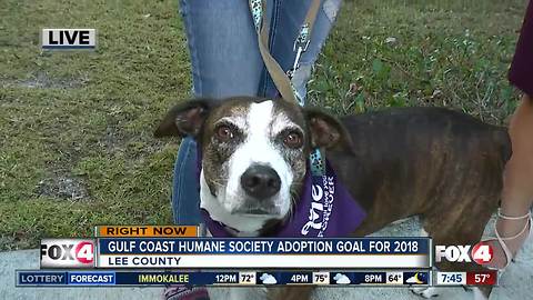 Gulf Coast Humane Society adoption goal for 2018