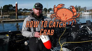 How To Catch Crab: Setup & Baiting 🦀