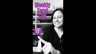 Taurus ♉️ Weekly Tarot Clip