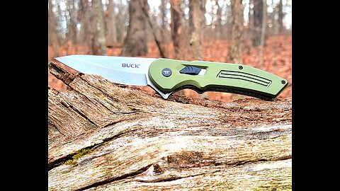 Buck 262 Hexam Assist Knife
