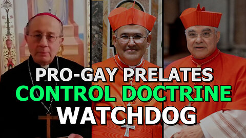 Pro-Gay Prelates Control Doctrine Watchdog