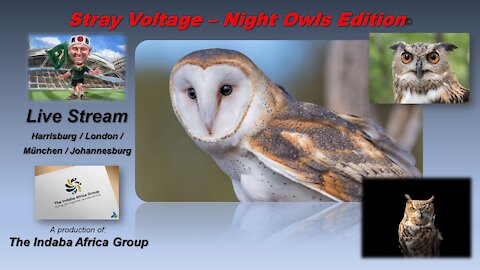 Stray Voltage - Night Owls Edition (23 Mar 2021)