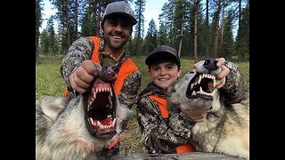 Public Land Wolf Hunting 10