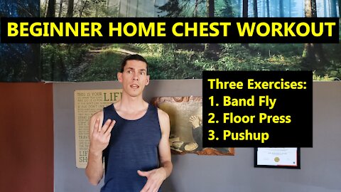 Beginner Home Workout With Minimal Equipment | CHEST FOCUS | 20 Minute Circuit |