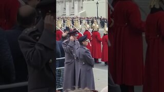 Household cavalry rest swords rememberence Sunday #rememberancesunday