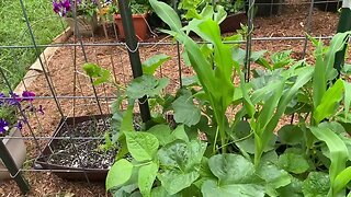 Garden Tour 6/18/23