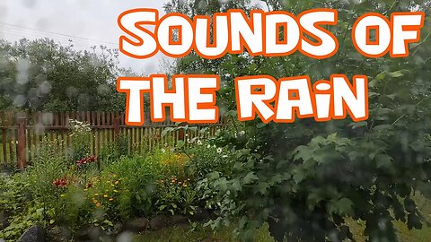 Sounds of the rain