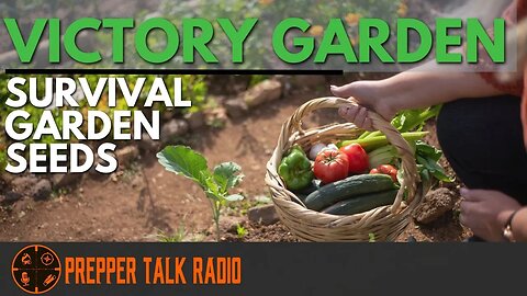 Victory Garden With Survival Garden Seeds Interview W/ Angee | PTR Ep 288