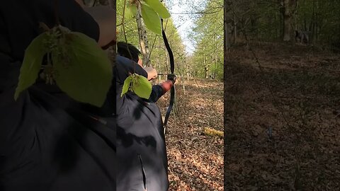 78LBS @ 28” SALUKI BOW LIGHT NOCK 3D ARCHERY