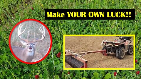 2022 Food plots for deer review. Whitetail Food Plots USA planting & review