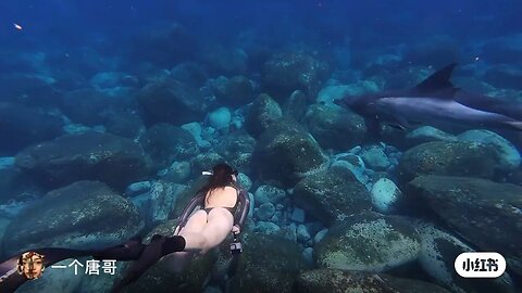 Diving under the blue ocean