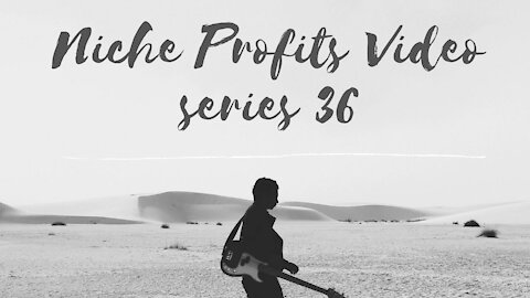 Niche Profits Video Series 36