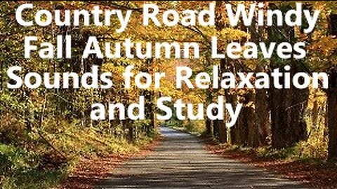 White Ambient Fall Autumn Soft Wind Leaves Trees Birds Street Road Sounds for Relaxation & Sleep