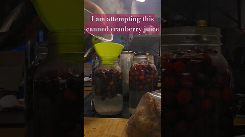 first try at canned cranberry juice #homestead #video #farm #shorts #canning