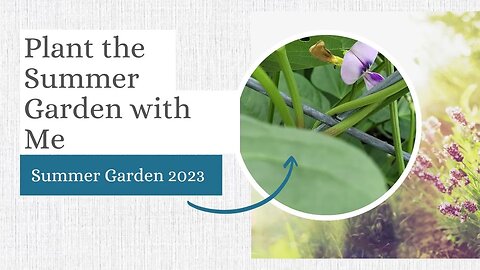 Plant the Summer Garden with Me | Summer Garden 2023