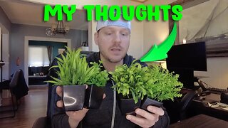 GREENTIME 4 Pack Fake Plants Review