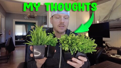 GREENTIME 4 Pack Fake Plants Review