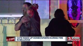 Bellevue couple says cats saved them from house fire