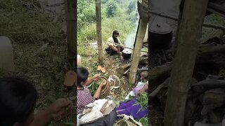 Suasana di Pedesaan / Metik daun Ubi Singkong