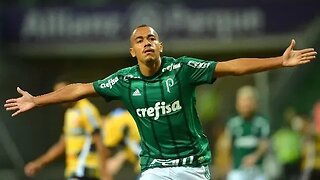 Gol de Papagaio - Palmeiras 5 x 0 Novorizontino - Narração de Nilson Cesar