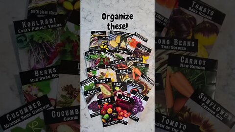 Organize your Garden Seeds - CHEAP and EASY #Shorts