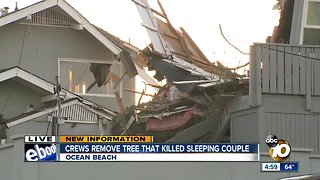 Crew remove tree that killed sleeping couple in Ocean Beach