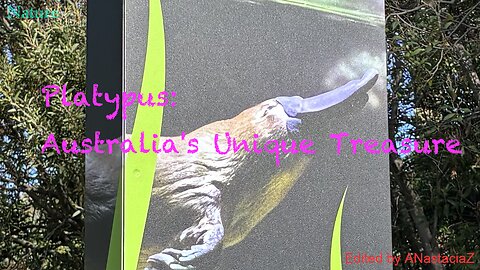 Bedtime stories for Children, about the Platypus "Platypus: Australia's Unique Treasure" (story 22)