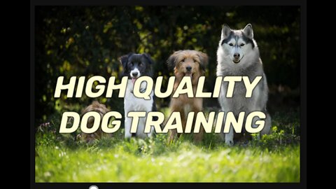 Brain training for dogs - exclusive dog training course