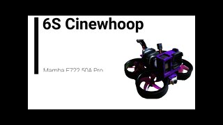 6S 5 Blade Cinewhoop Tuned