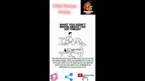 🔥What you didn't know about the hip thrust🔥#fitness🔥#wildfitnessgroup🔥#shorts🔥