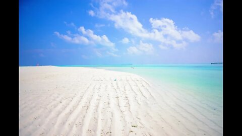 Gentle Ocean Waves Sounds with Seagulls for Sleeping, Relaxing, Studying