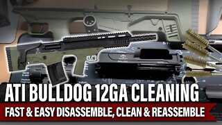 Teardown & Cleaning the ATI Bulldog 12GA Shotgun