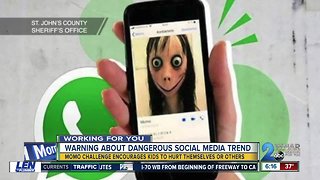 Warning about dangerous social media trend, the Momo Challenge