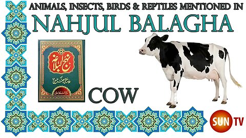 Cow - Animals, Insects, Reptiles & Amphibians in Nahjul Balagha (Peak of Eloquence)#imamali