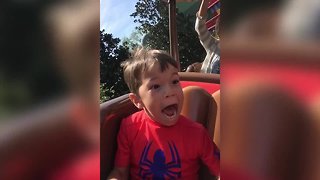Boy Reacts to First Roller Coaster