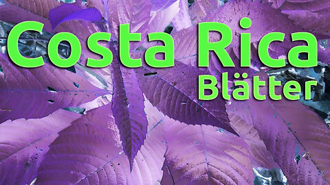 (021) Costa Rica sehenswert | Blätter - AUSWANDERN nach COSTA RICA