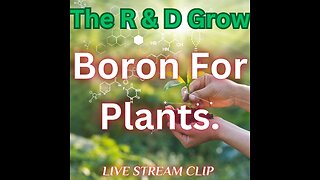 Boron For Plants.