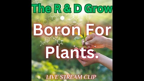 Boron For Plants.