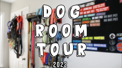 Dog Training Room Tour - 2022