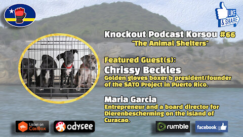 Knockout Podcast Korsou #66 - The Animal Shelters