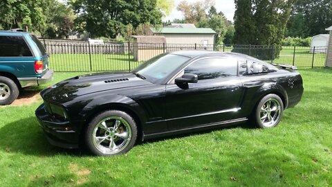 2008 Ford Mustang - Caught in 5.3k Ultra HD @60FPS - Full Walk-Around - Custom Volvo Black Paint job