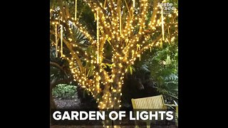 New 'Gardens Of Lights' event hits Mounts Botanical Garden