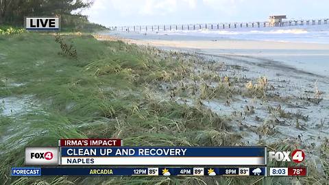 Naples Beach calm after Hurricane Irma