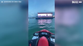 La marina de Miami se transforme en cinéma!