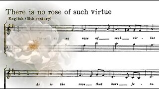 There is no rose of such virtue