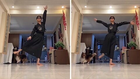 Dog Gets Hilariously Scared From Owner's Kung Fu Dance